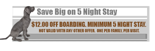 Save Big on 5 Night Stay - $12.00 Off Boarding. Minimum 5 Night Stay. Not Valid With Any Other Offer. One Per Family, Per Visit.