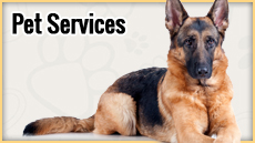 Pet Services