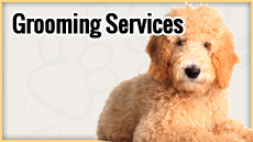 Grooming Services