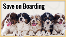 Save on Boarding