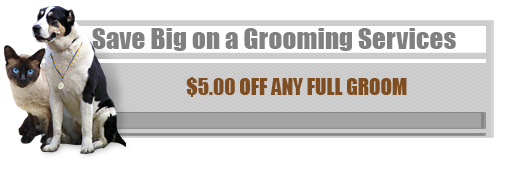 Save Big on a Grooming Services - $5.00 Off Any Full Groom