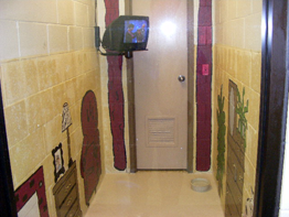 Pet Luxury Suites Houston, TX
