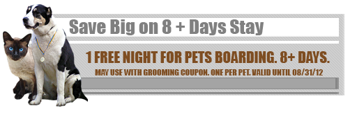 Save Big on 8 day stay, Houston, T X