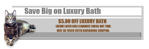 Save Big on Luxury Bath, Huston Tx